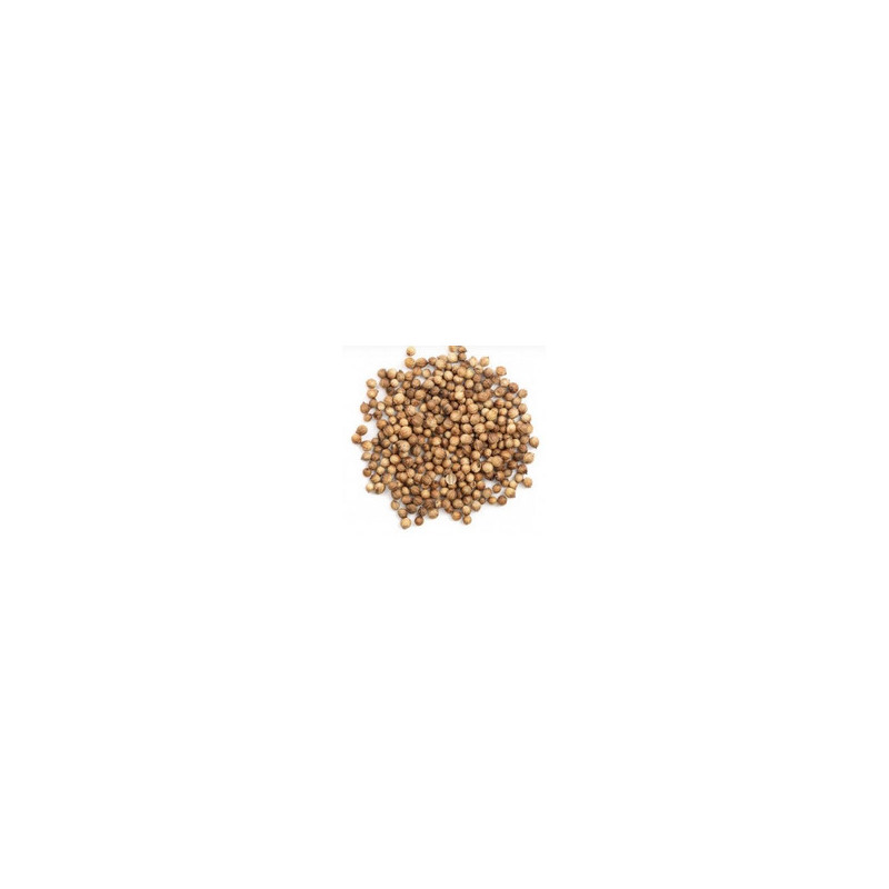CORIANDRE EN GRAINS 100G
