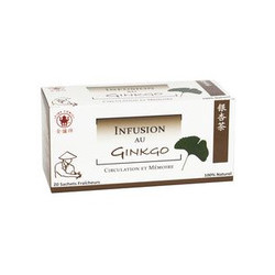 INFUSION GINKGO 20S 40G*