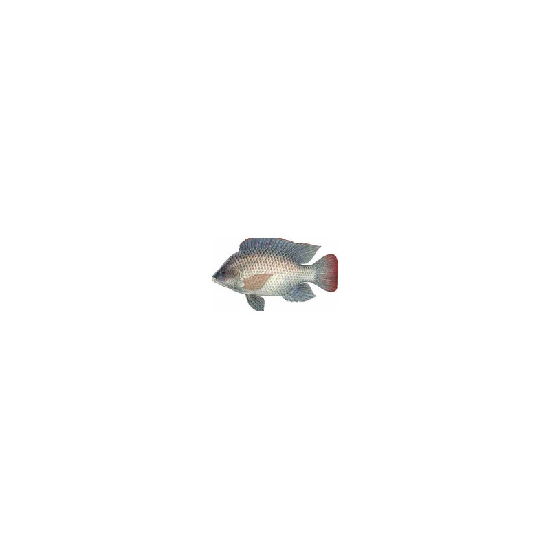 2000000001210_1